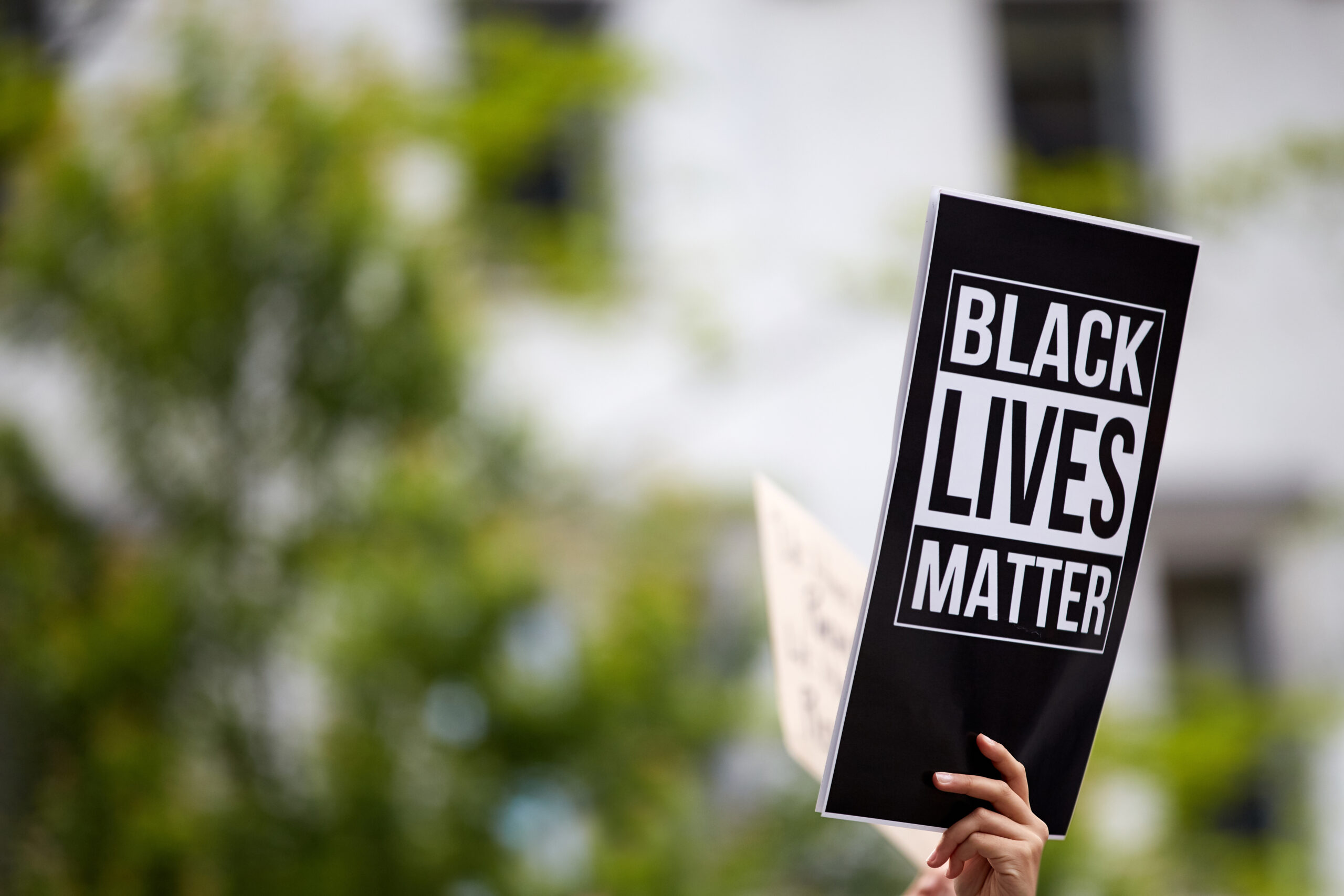 A,Person,Holding,A,Printed,Black,Sign,"black,Lives,Matter"